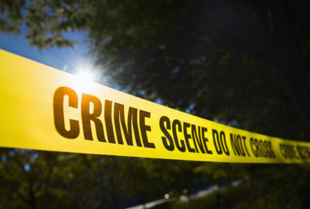 University of Georgia murder sparks finger-pointing over immigration