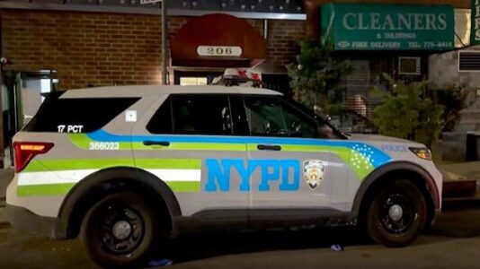 Squatters in custody after woman found dead in duffel bag in Manhattan apartment