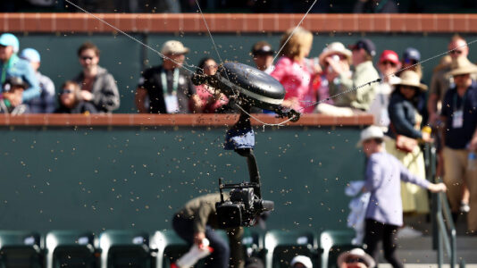 ‘Bee invasion’ leads to suspended tennis match at BNP Paribas Open