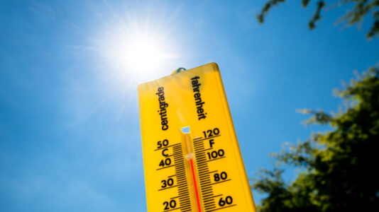 How you can help combat global warming as the planet reaches 10th consecutive warmest month on record