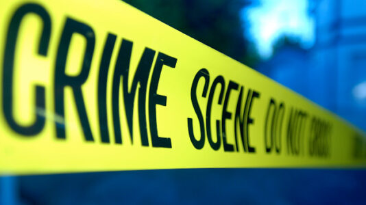 Pregnant woman found stabbed to death in home: Authorities