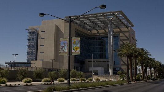 Nevada abortion rights group says it has enough signatures on petition for ballot measure