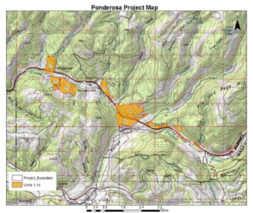 Prescribed Fire In Summit County