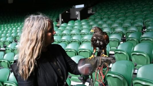 Hawks and Hounds: Inside the weird and wonderful world of Wimbledon’s working animals