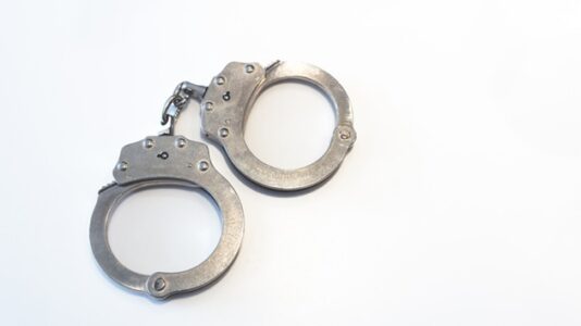 Person of interest taken into custody for attempted rape of Central Park sunbather: Sources