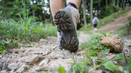 Backpacker dies after suffering ‘sudden medical complications’ at national park
