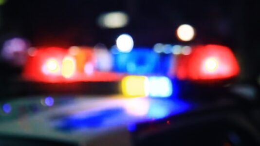 Driver allegedly kills innocent bystander while trying to mow down domestic partner: Police