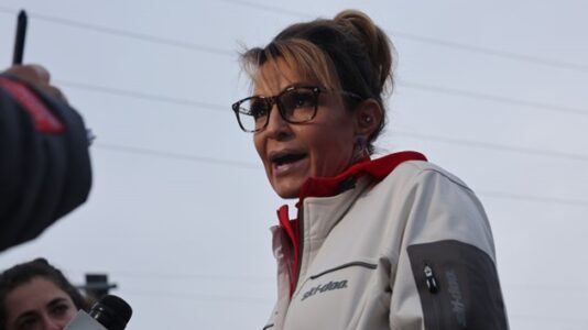 Sarah Palin granted new trial in defamation lawsuit against New York Times