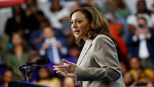 Gun violence among top issues in DNC Platform