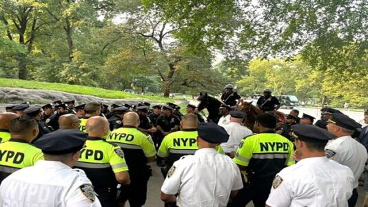 Largest US police force is using drones to curb a Central Park crime spree