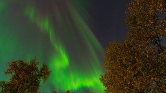 This is when peak northern lights activity will occur