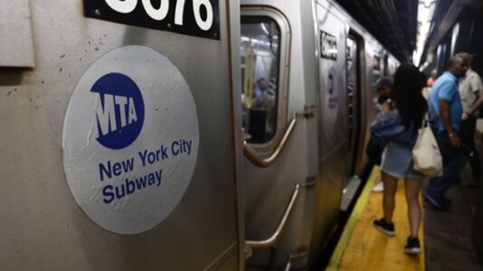 2 wanted, one wearing pink shower cap, in stolen New York City subway crash