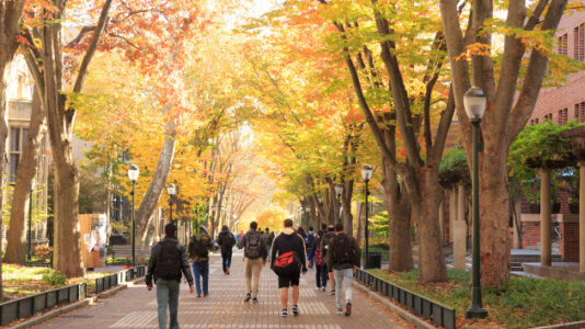 A look at college admissions diversity after SCOTUS affirmative action decision