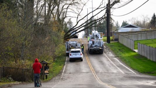 Bomb cyclone hammers West Coast, 2 dead in Washington state