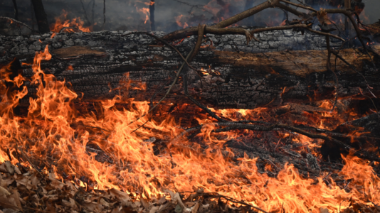 Jennings Creek wildfire explodes to 5,000 acres, delays one of nation’s oldest Veterans Day parades