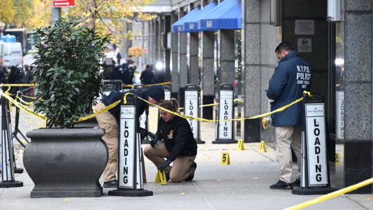 ‘Deny,’ ‘defend’ and ‘depose’: Police investigating words found on shell casings in CEO shooting, sources say