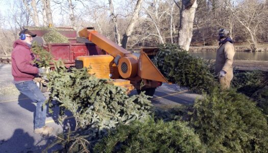 How to lower your carbon footprint after the holidays