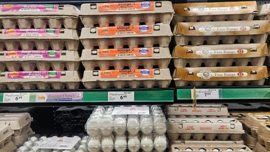 After 100,000 eggs stolen, CEO says company will crack down on security