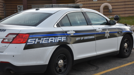 Thieves fake seizure to steal puppies from Colorado pet store