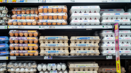 100,000 eggs worth $40,000 stolen from trailer as police try to crack the case