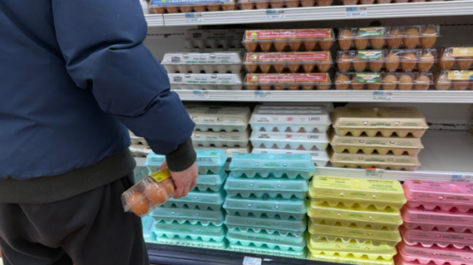 Egg prices predicted to soar more than 41% in 2025: USDA