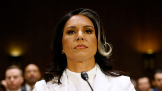 100 intelligence staffers to be fired for engaging in explicit chats: Gabbard