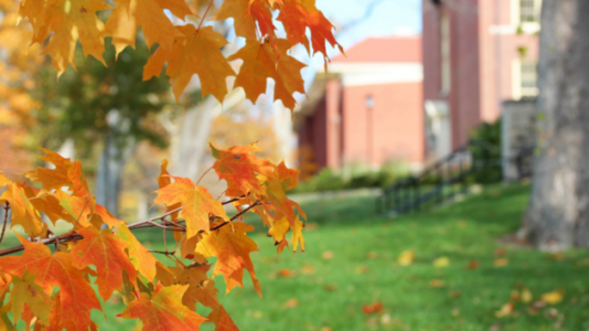 Miami University fraternity suspended amid ‘inhumane’ hazing allegations