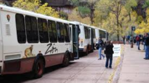 Zion Shuttle Service Returning For Season