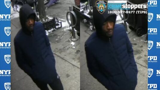 Attempted rapist told victim he was an ICE agent: Police sources