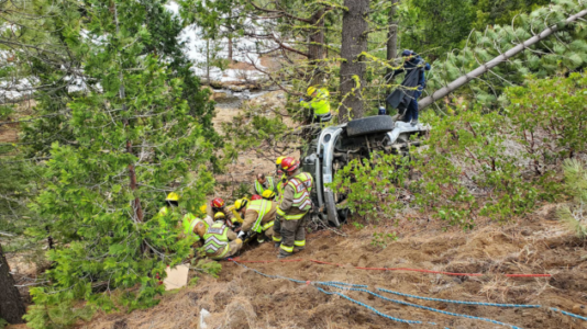 California driver and dog rescued after spending night trapped in crushed truck