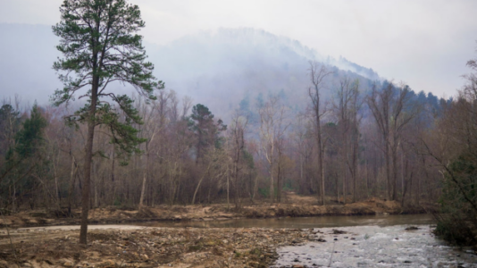 Massive South Carolina wildfire jumps border, spreads into North Carolina