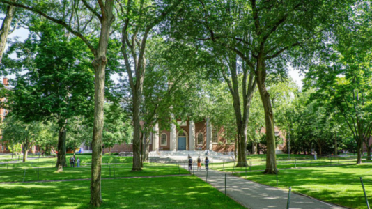 Harvard, UCLA, Stanford among schools across US reporting student visa revocations