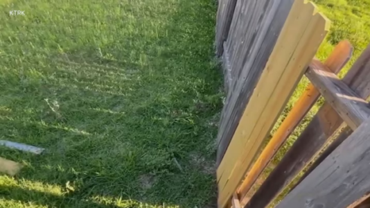 Man’s dogs fatally maul woman, suspect arrested