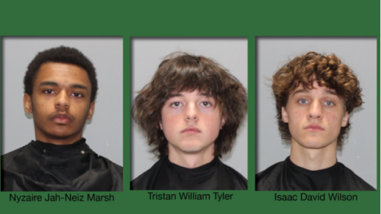 Teens who allegedly failed to put out cigarettes accused of causing massive South Carolina wildfire