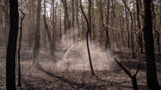 New Jersey wildfire: Strong winds complicate firefighters’ efforts