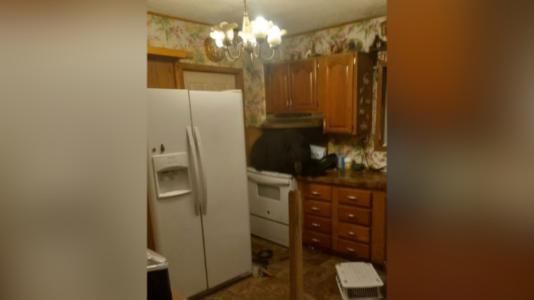 Black bear found sitting on stove inside home after crashing through ceiling