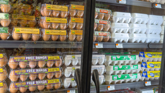 CDC Issues Food Safety Alert Over Salmonella Infections Linked To Recalled Eggs