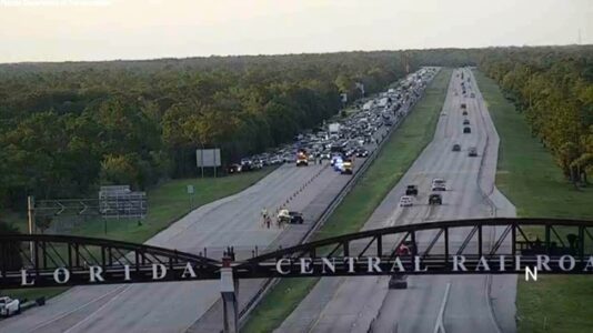 Man killed trying to save turtle on Florida interstate