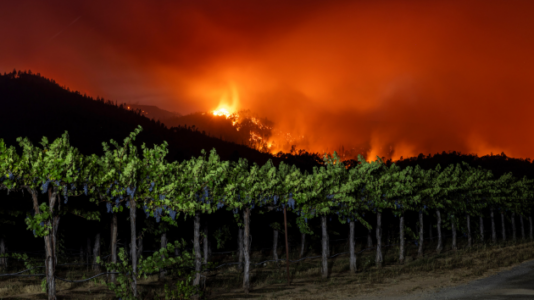 California wine country wildfire surpasses 6,500 acres, mandatory evacuations ordered
