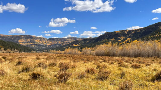 Search underway for elk hunters missing near Colorado-New Mexico border