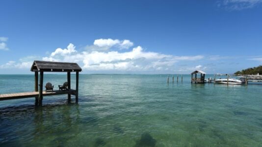 8-year-old bitten by shark ‘recovering well,’ ‘in good spirits’ says family