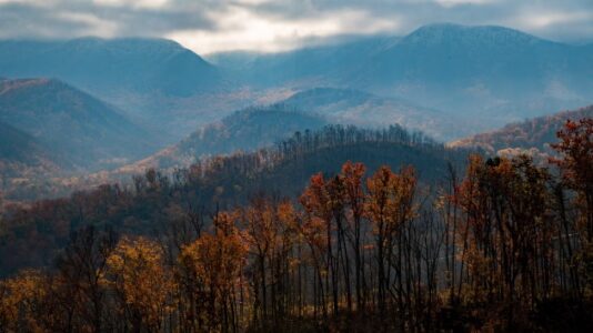21-year-old man found dead after going missing in Great Smoky Mountains: NPS