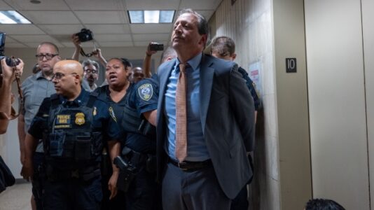 Several New York officials arrested in protest at Manhattan ICE office