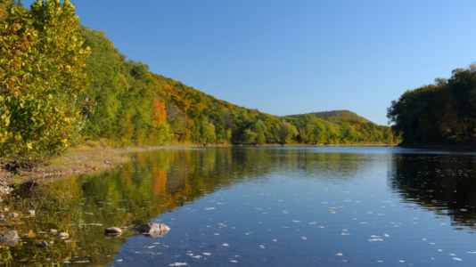 30-year-old man drowns near family picnic area while attempting to swim across river