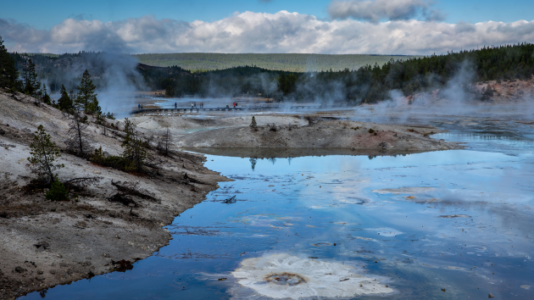 29-year-old man attacked by bear in Yellowstone National Park