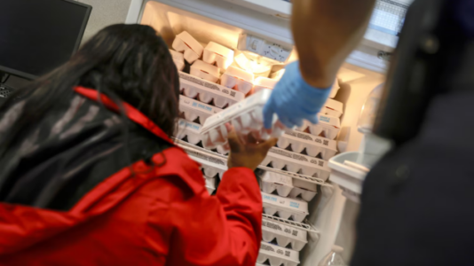 More military families turning to food banks as government shutdown wears on