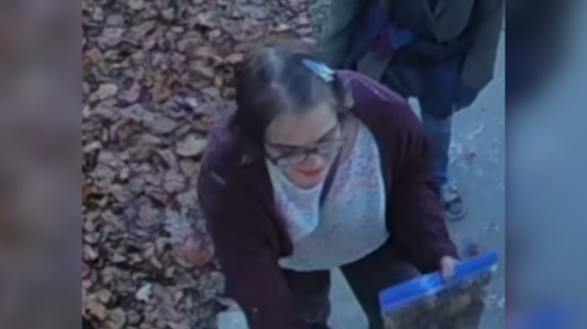 ‘Just Google’ me: ‘Slender Man’ stabbing assailant Morgan Geyser allegedly told cops who caught her