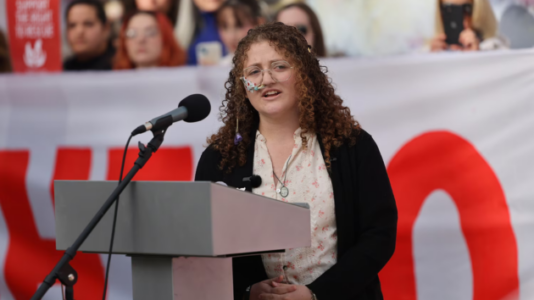 Animal rights activist sentenced to jail after stealing 4 chickens from slaughterhouse