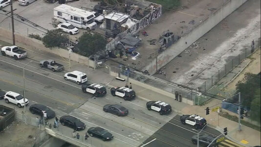 4 murders of homeless people including ex-NFL player may be connected: Police