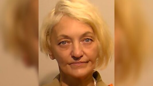 Svetlana ‘the stowaway’ Dali allegedly snuck onto United flight at Newark airport: Sources